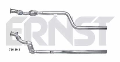 Ernst 756303 Katalysato