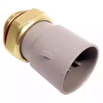 Delphi TS10297 Термовимикач вентилятора радіатора Delphi TS10297 Термовимикач вентилятора радіатора