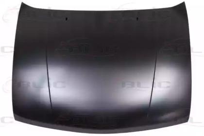 Blic 6803-00-2563281P Hood