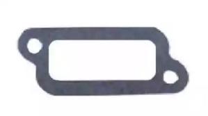 Wilmink Group WG1737330 Gasket graphite