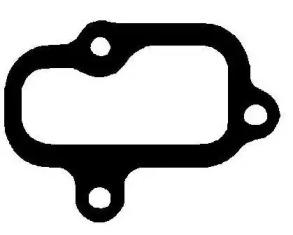 Wilmink Group WG1737347 Gasket graphite