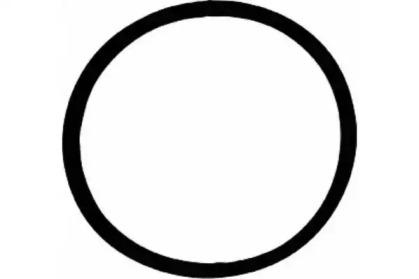 Wilmink Group WG1737477 Прокладка впускного колектора