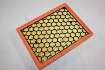 Automega 180031310 Air filter