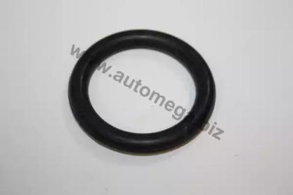Automega 190005610 Gasket graphite Automega 190005610 Gasket graphite