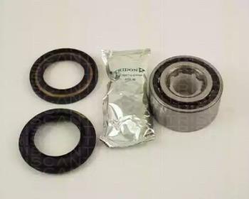 Triscan 853040102 Wheel bearing