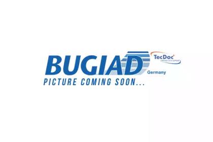 Bugiad BSP25023 Box assy fuse