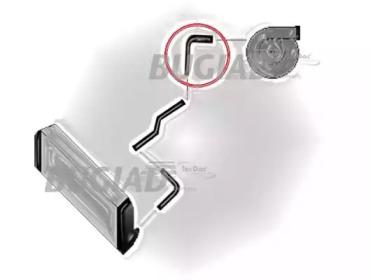 Bugiad 87605 Патрубок інтеркулера