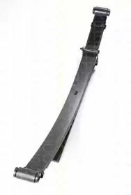 Triscan 876542001 Spring rear