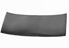 Van Wezel 1759660 Hood