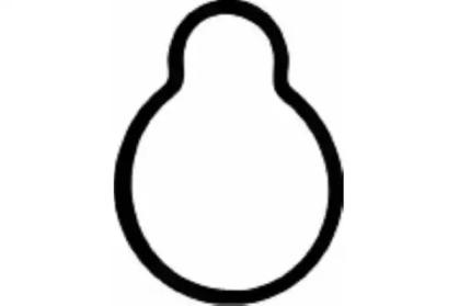 Wilmink Group WG1181738 Gasket graphite