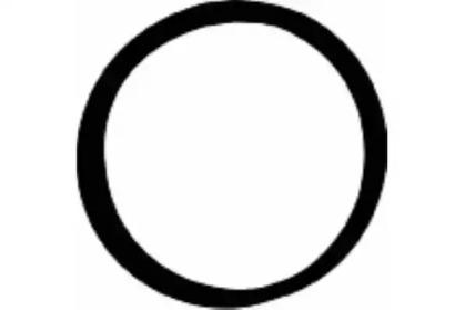 Wilmink Group WG1181815 Прокладка впускного колектора