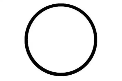 Wilmink Group WG1181900 Прокладка впускного колектора