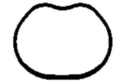 Wilmink Group WG1181986 Gasket graphite