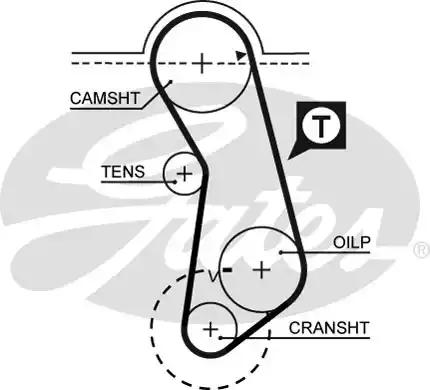 Gates 5016 Belt timing