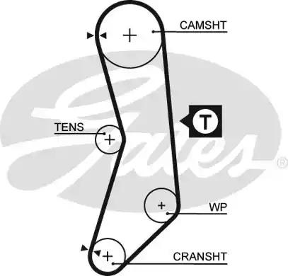 Gates 5544XS Belt timing Gates 5544XS Belt timing