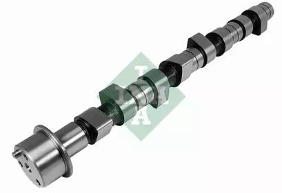 Wilmink Group WG1780257 Camshaft