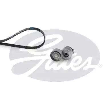 Gates K017PK1125 Belt v