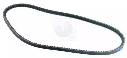 NPS D111U01 Belt v NPS D111U01 Belt v