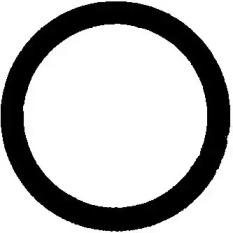 Victor Reinz 71-34244-00 Gasket graphite