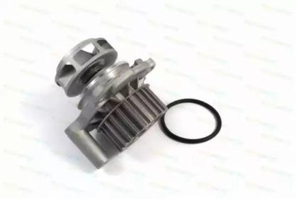 Thermotec D1W002TT Water pump