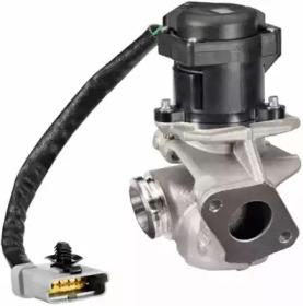 Hella 6NU 010 171-131 Клапан рециркуляції відпрацьованих газів