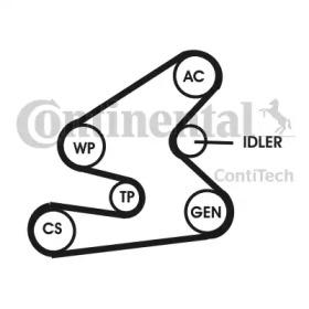Contitech 6PK1623D1 Belt v Contitech 6PK1623D1 Belt v