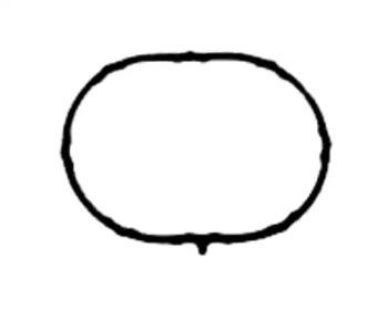 Victor Reinz 71-53796-00 Gasket graphite Victor Reinz 71-53796-00 Gasket graphite