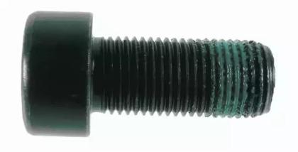 Sachs 2215 000 500 Screw