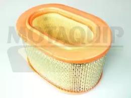 Motaquip VFA602 Фільтр повітряний Motaquip VFA602 Фільтр повітряний