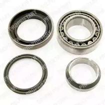 Delphi BK369 Wheel bearing