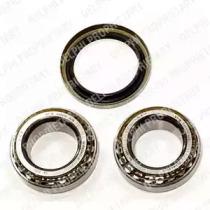 Delphi BK432 Wheel bearing Delphi BK432 Wheel bearing