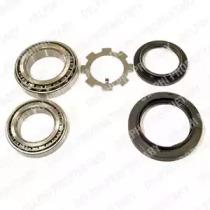 Delphi BK667 Wheel bearing