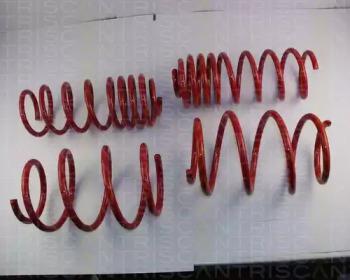 Triscan 875529042 Pro kit sprezyny eibach Triscan 875529042 Pro kit sprezyny eibach