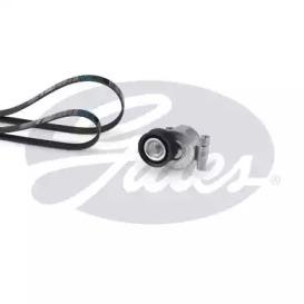 Gates K016PK1305 Belt v Gates K016PK1305 Belt v