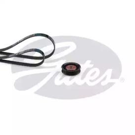 Gates K025PK683 Belt v