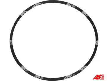 AS-PL ARS3003 Сальник