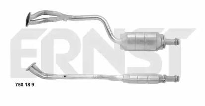 Ernst 750189 Katalysato
