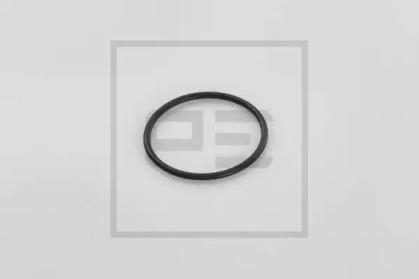 PE Automotive 066.048-00A Dichtring PE Automotive 066.048-00A Dichtring