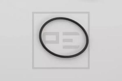 PE Automotive 066.049-00A Dichtring PE Automotive 066.049-00A Dichtring