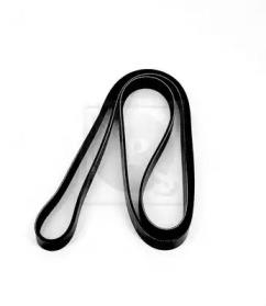 NPS I111U14 Belt v NPS I111U14 Belt v