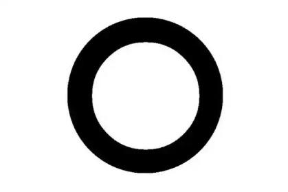 Wilmink Group WG1177425 Прокладка впускного колектора