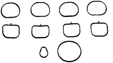 Corteco 026998P Gasket graphite