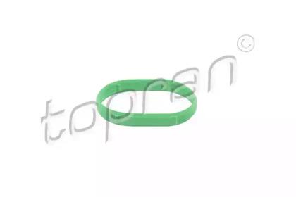 Topran 113 200 Gasket graphite