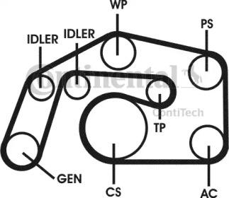 Contitech 6PK2495D1 Belt v Contitech 6PK2495D1 Belt v