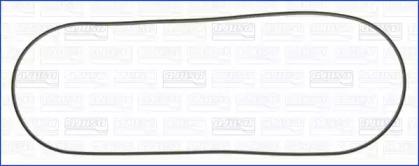 Wilmink Group WG1449969 Прокладка кришки клапанів Wilmink Group WG1449969 Прокладка кришки клапанів