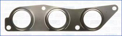 Wilmink Group WG1451070 Прокладка колектора
