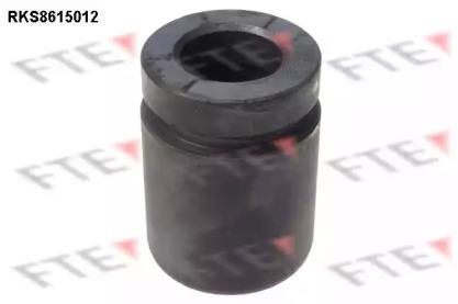 FTE RKS8615012 Piston assy caliper FTE RKS8615012 Piston assy caliper