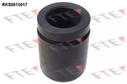 FTE RKS8615017 Piston assy caliper FTE RKS8615017 Piston assy caliper