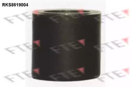 FTE RKS8619004 Piston assy caliper FTE RKS8619004 Piston assy caliper