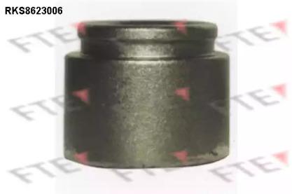 FTE RKS8623006 Piston assy caliper